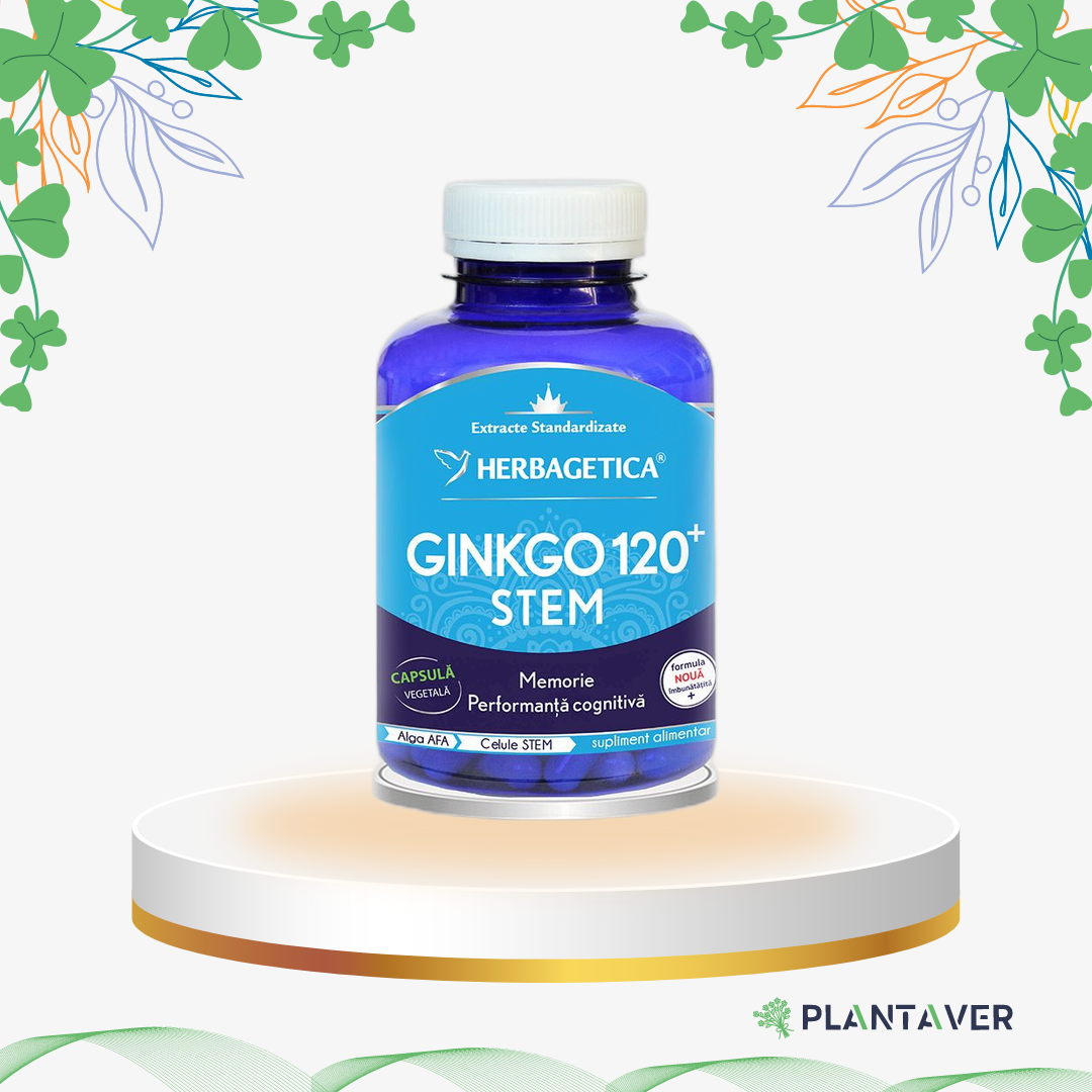 Herbagetica - Ginkgo 120 Stem, 60