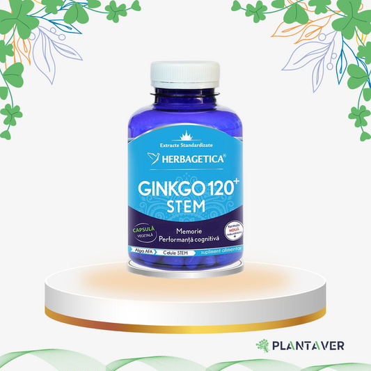 Herbagetica - Ginkgo 120 Stem, 60