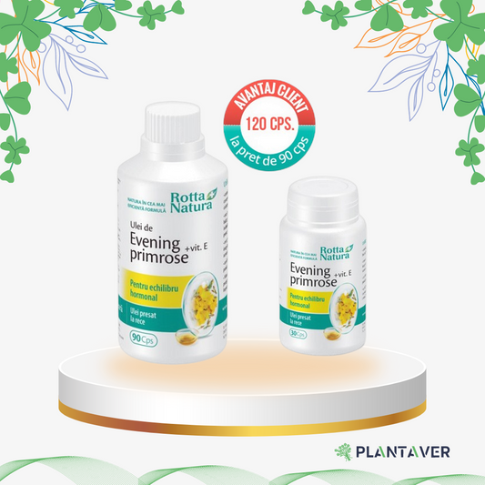 Rotta Natura - Pachet Evening Primrose, 120 cp