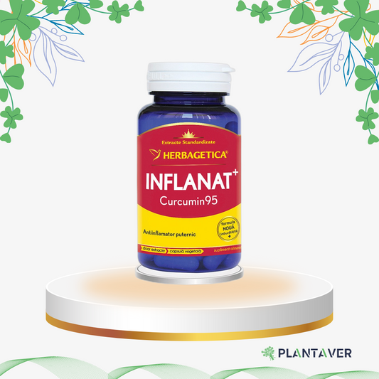 Herbagetica - Inflanat Curcumin, 60 cp