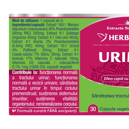 Eticheta stanga supliment Urimer Akut pentru infecții urinare, formulă ultra-concentrată cu 81 mg PAC din merișor și aronia, extracte de strugurii-ursului și splinuță, cu efect rapid în eliminarea disconfortului și a bacteriilor E.coli.