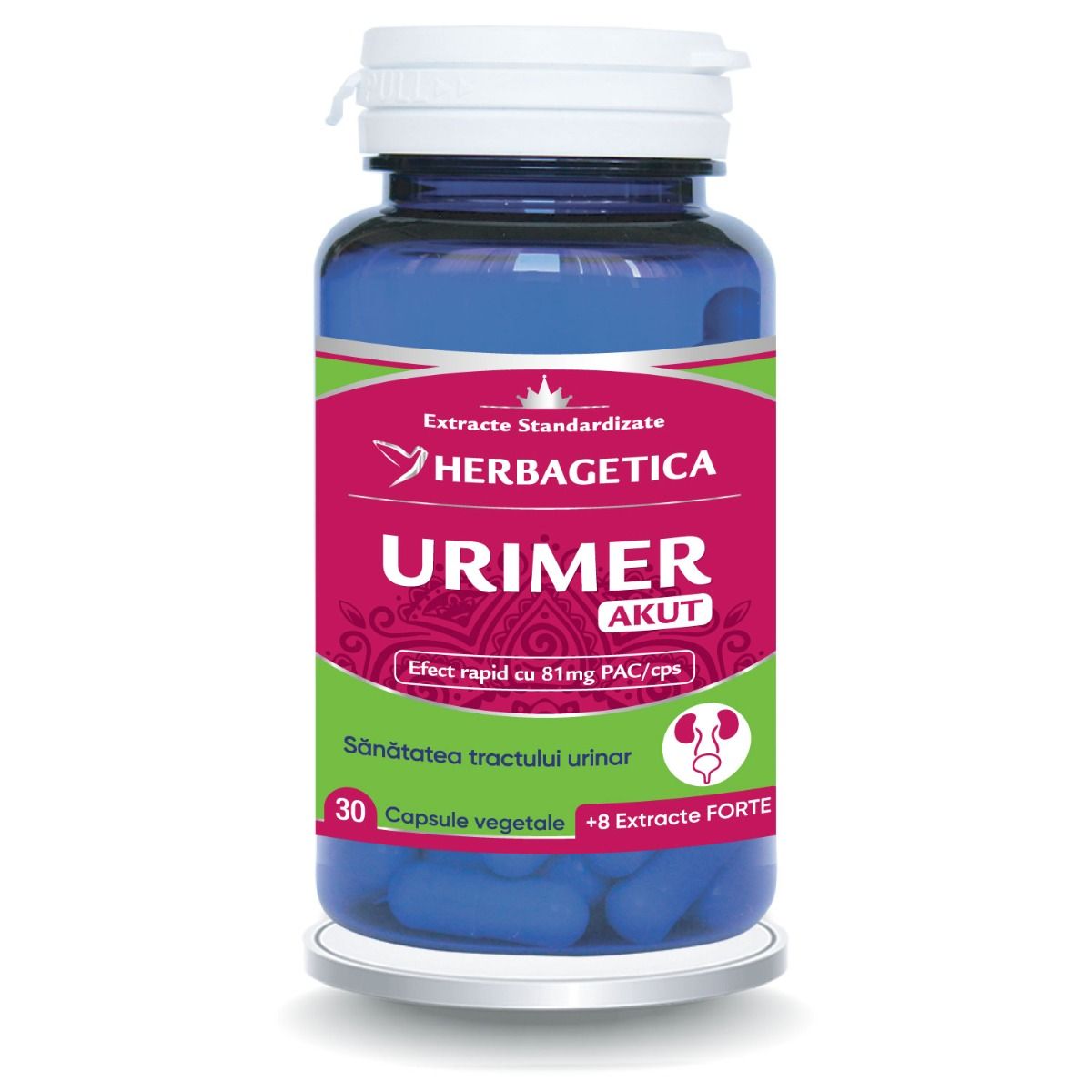 Supliment Urimer Akut pentru infecții urinare, formulă ultra-concentrată cu 81 mg PAC din merișor și aronia, extracte de strugurii-ursului și splinuță, cu efect rapid în eliminarea disconfortului și a bacteriilor E.coli.